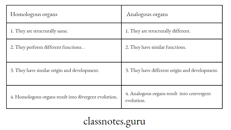 Differences between Homologous and Analogous