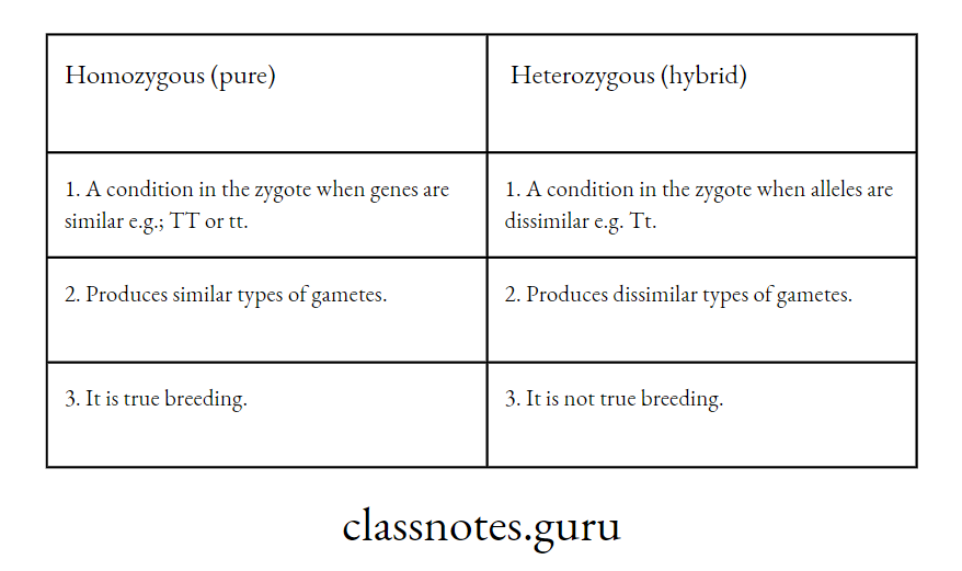 Differences between Homozygous (pure) and Heterozygous (hybrid)