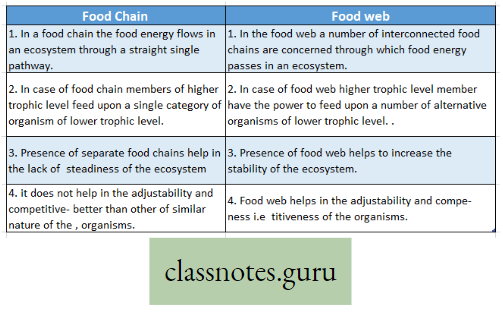 Environment And Its Resources Difference Between Food Chain And Food Web