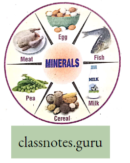 Physiological Processes Of Life A Few Plants And Animals Sources contain Micro And Macro-Elements