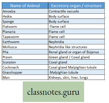 Physiological Processes Of Life Action Organs in Animals