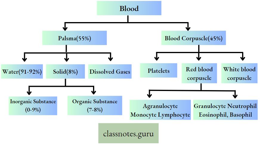 Physiological Processes Of Life Composition Of Blood