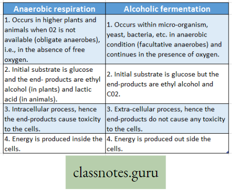 Physiological Processes Of Life Difference Beteween Aerobic Respiration And Alcoholic Fermentation