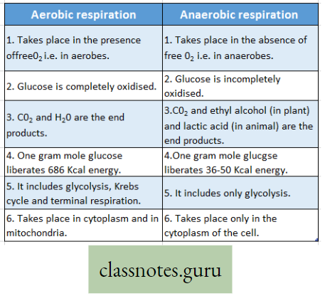 Physiological Processes Of Life Difference Beteween Aerobic Respiration And Anaerobic Respiration