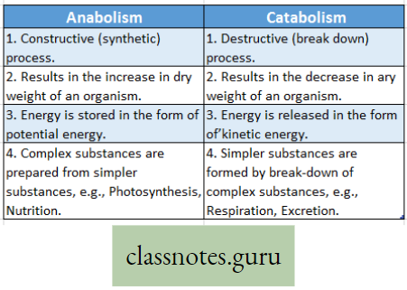 Physiological Processes Of Life Difference Between Anabolism And Catabolism