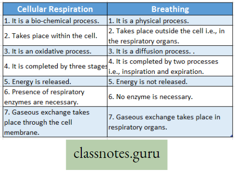 Physiological Processes Of Life Difference Between Cellular Respiration And Breathing