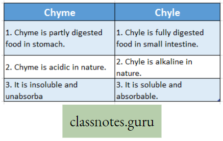 Physiological Processes Of Life Difference Between Chyme And Chyle