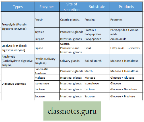 Physiological Processes Of Life Difference Beteween Digestive Enzymes With Examples