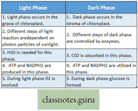 Physiological Processes Of Life Difference Between Light Phase And Dark Phase