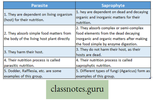 Physiological Processes Of Life Difference Between Parasite And Saprophyte