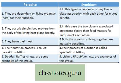 Physiological Processes Of Life Difference Between Parasite And Symbiont