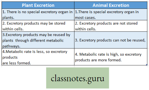 Physiological Processes Of Life Difference Between Plant Excretion And Animal Excretion