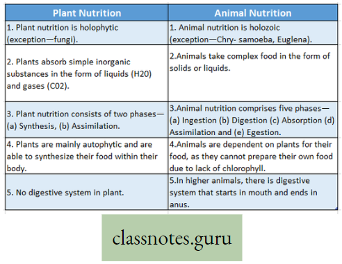 Physiological Processes Of Life Difference Between Plant Nutrition And Animal Nutrition