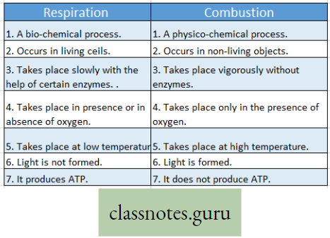 Physiological Processes Of Life Difference Between Respiration And Combustion