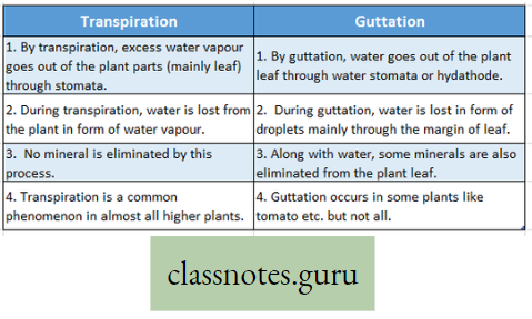 Physiological Processes Of Life Difference Between Transpiration And Guttation