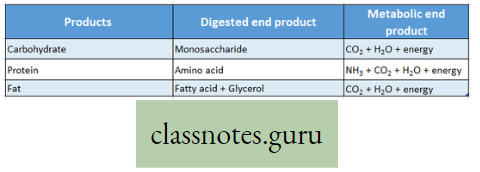 Physiological Processes Of Life Digested End Product And Metabolic End Product