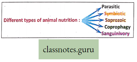 Physiological Processes Of Life different Types Of animal Nutrition