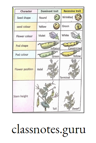 Seven pairs of contrasting traits in pea plant as studied by mandel