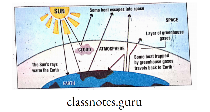 Warming effect of greenhouse gases