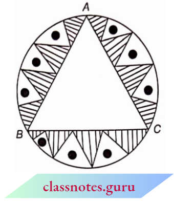 Area Related To Circles An Equilateral Triangle