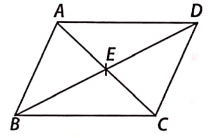 BD bisects ∠ABC