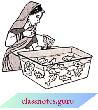 Class 10 Maths Chapter 15 Probability Gopi Buys A Fish From A Shop For His Aquarium