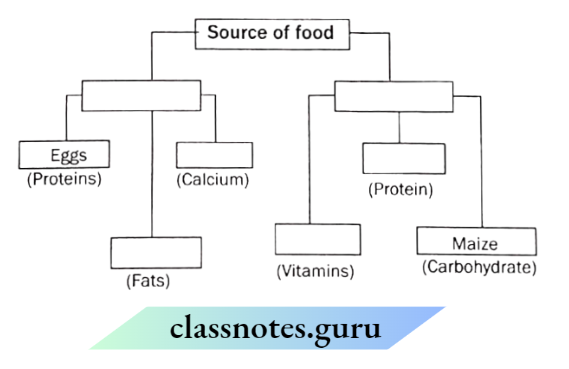 Class 6 Science Chapter 1 Components Of Food Sources Of Food