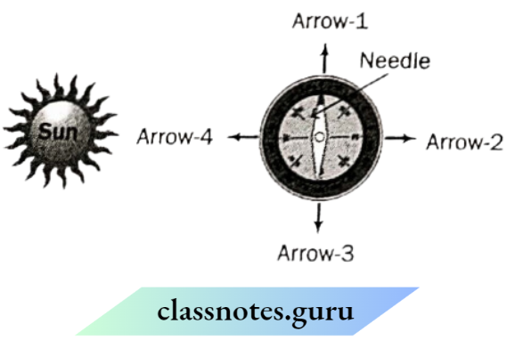 Class 6 Science Chapter 10 Fun With Magnets The Picture Shows A Magnetic Compass