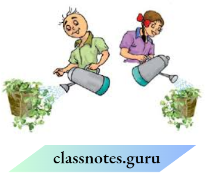 Class 6 Science Chapter 4 Chapter 4 Getting To Know Plants Watering Their Plants