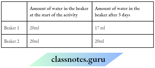 Class 6 Science Chapter 4 Getting To Know Plants Amount of water in the beaker at the start of the activity