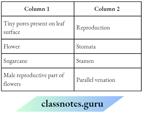 Class 6 Science Chapter 4 Getting To Know Plants Match the column 1 and column 2.3