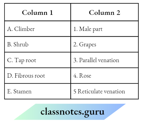 Class 6 Science Chapter 4 Getting To Know Plants Match the coloumn 1 and column 2