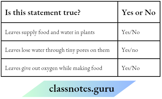 Class 6 Science Chapter 4 Getting To Know Plants The Following Statements Is True or not