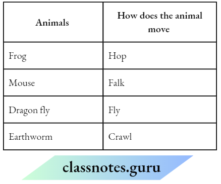 Class 6 Science Chapter 5 Body Movements Animals How Does The Animal Move