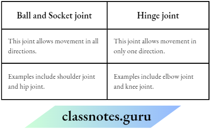 Class 6 Science Chapter 5 Body Movements Ball And Socket Joint Hinge Joint