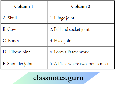 Class 6 Science Chapter 5 Body Movements Match The Column 1 And 2.