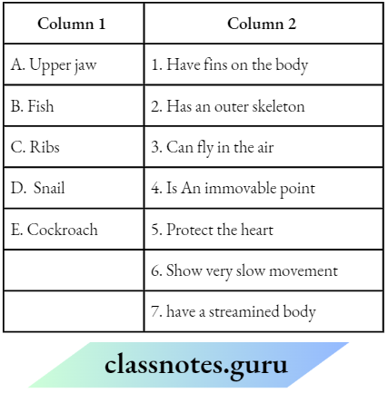 Class 6 Science Chapter 5 Body Movements Match The Column 1 And 2.3