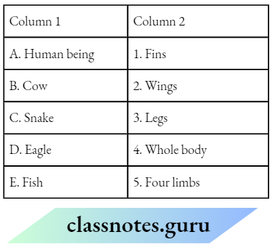 Class 6 Science Chapter 5 Body Movements Match The Column 1 And 2