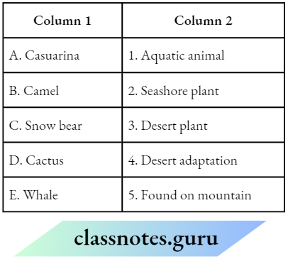 Class 6 Science Chapter 6 The Living Organisms Match The columns