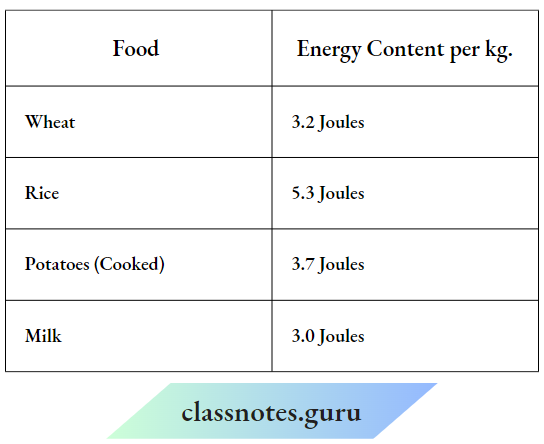 Decimal Food And Energy Content
