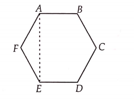 Draw a rough sketch of a regular hexagon
