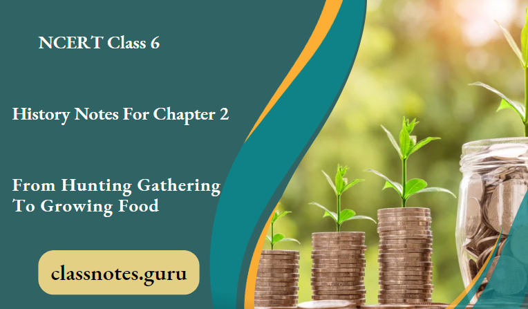 NCERT Class 6 History Notes For Chapter 2 From Hunting Gathering To Growing Food