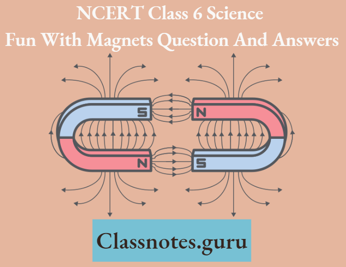 NCERT Class 6 Science Chapter 10 Fun With Magnets Question And Answers