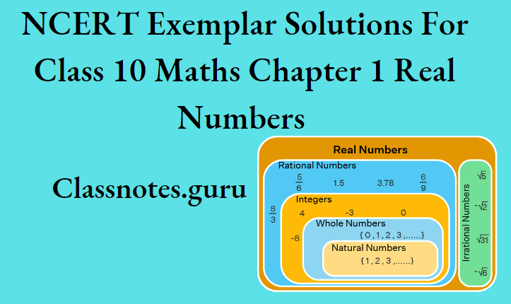 NCERT Exemplar Solutions For Class 10 Maths Chapter 1 Real Numbers