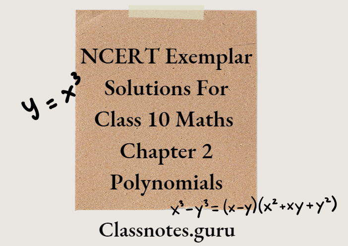 NCERT Exemplar Solutions For Class 10 Maths Chapter 2 Polynomials