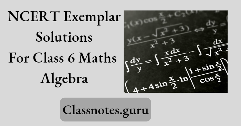 NCERT Exemplar Solutions For Class 6 Maths Chapter 11 Algebra
