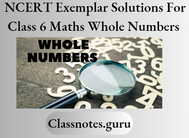 NCERT Exemplar Solutions For Class 6 Maths Chapter 2 Whole Numbers
