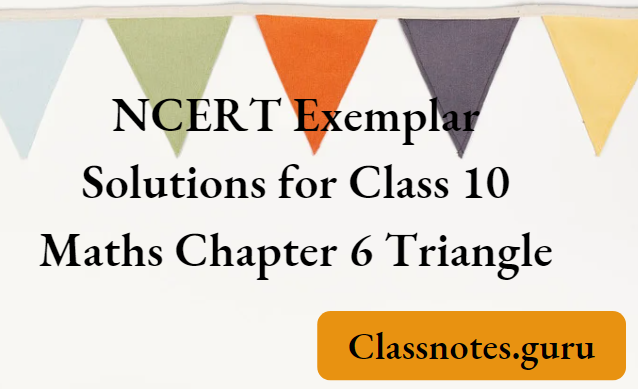NCERT Exemplar Solutions for Class 10 Maths Chapter 6 Triangle
