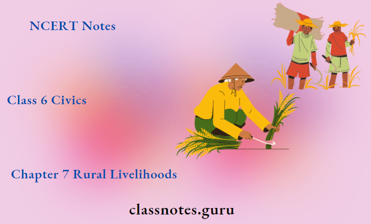 NCERT Notes For Class 6 Civics Chapter 7 Rural Livelihoods
