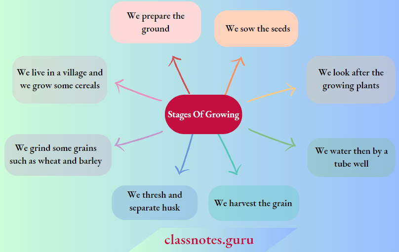NCERT Solutions For Class 6 History Chapter 2 From-Hunting-Gathering-To-Growing-Food-Stages-Of-Growing